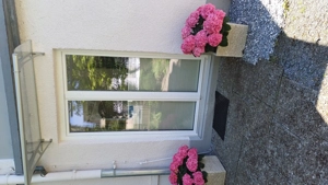 In Fußach, Vorarlberg, steht eine möblierte Einzimmerwohnung zur Verfügung. Als Mietkaution sind 850 Bild 8