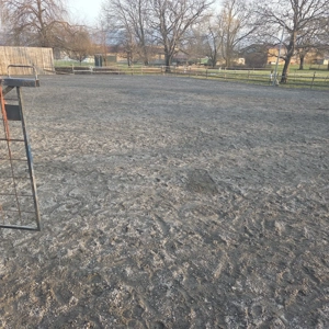 Große Paddock-Box in Selbstversorgerstall in Lauterach 