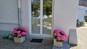 In Fußach, Vorarlberg, steht eine möblierte Einzimmerwohnung zur Verfügung. Als Mietkaution sind 850 Bild 7