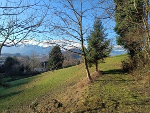 Aussergewöhnliches Baugrundstück in Götzis   Am Hof Bild 10