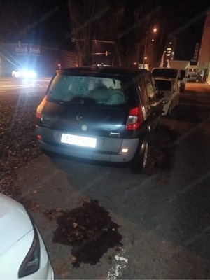 renault scenic megane 1.5dci Bild 2