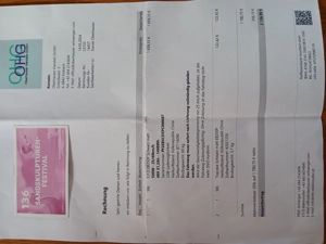 E-Roller EB 250  Bj. 2024 mit Topcase abschliessbar Bild 3