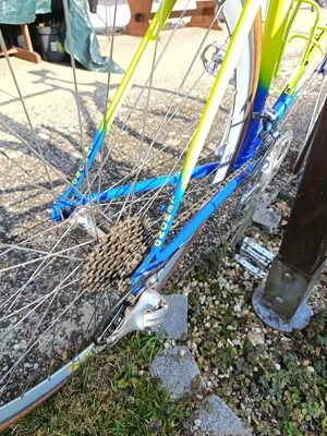 Rennrad Greg Lemond Bild 2