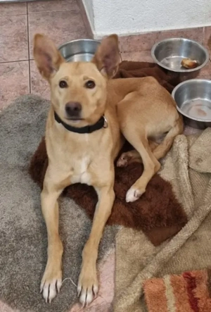 Ella sucht IHRE Familie Bild 7