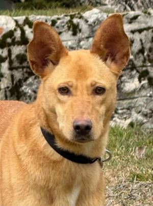 Ella sucht IHRE Familie Bild 6