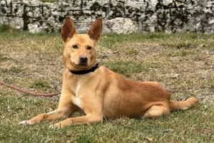 Ella sucht IHRE Familie Bild 5