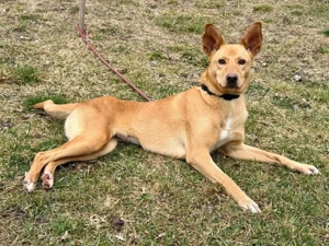 Ella sucht IHRE Familie Bild 4