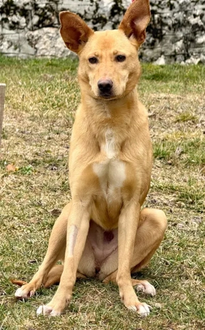 Ella sucht IHRE Familie Bild 3