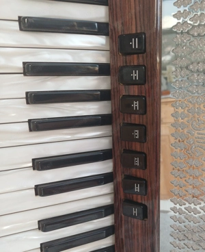 Akkordeon O.R.A. Alpine 4 Castelfidardo, Bild 2