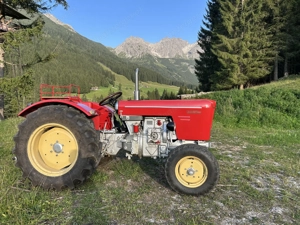 Traktor Schlüter sf303  Bild 2