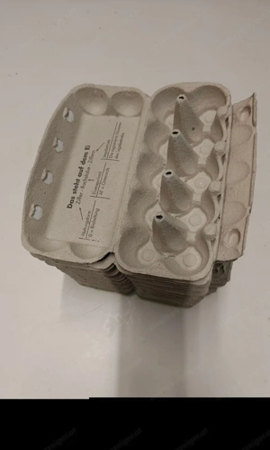 Eier Karton (Schachtel) Bild 3