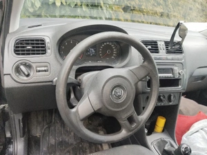 polo zu verkaufen Bild 2