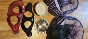 Set für kleine Hunde Bild 5
