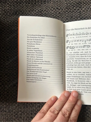 Der fröhliche Musikus, Albrecht Rosenstengel Bild 2