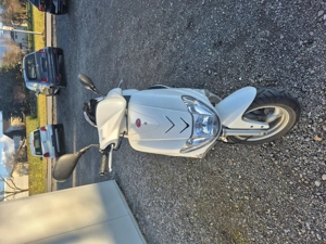 Roller zu verkaufen  Bild 5