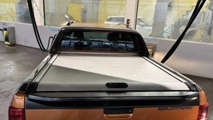 Ford Ranger 3.2 TDCi Doppelkabine 4x4 Wildtrak Bild 5