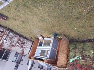 Neues zu Hause gesucht  Bild 2