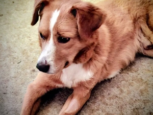 Laurie - NOTFALL Österreich Bild 3