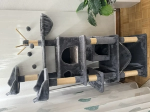 Katzen Kratzbaum von klein bis gross