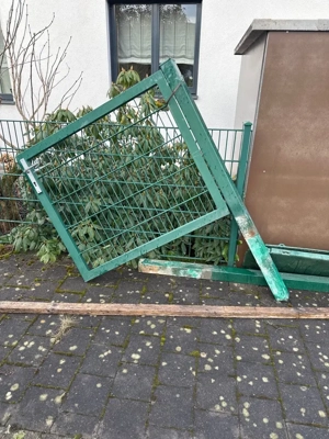 Gartentor Doppelstabmatte