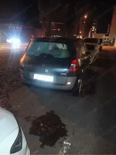 Renault Scenic Bild 2