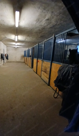 Freier Einstellplatz Bild 2