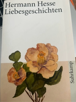 Hermann Hesse Liebesgeschichten Bild 4