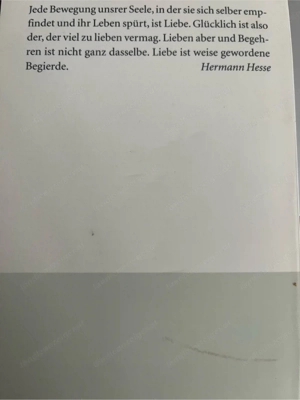 Hermann Hesse Liebesgeschichten