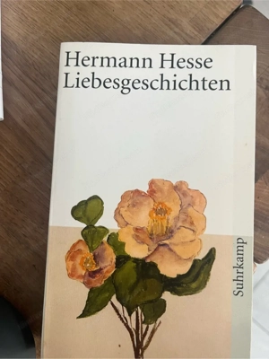 Hermann Hesse Liebesgeschichten Bild 3