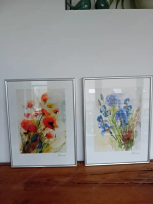 Bilder von Hämmerle