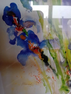 Bilder von Hämmerle Bild 3