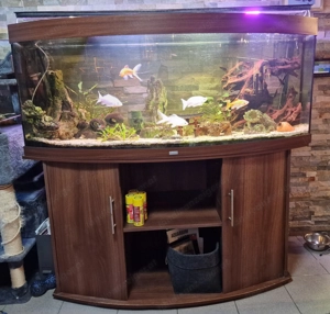 Aquarium Juwel 450 Liter 