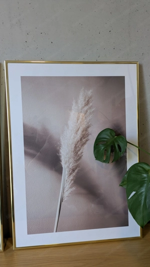 Goldene Bilderrahmen 2 Stk mit Poster Bild 3