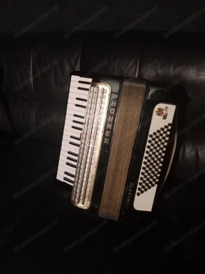 Akkordeon  Bild 2