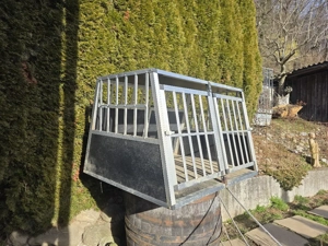 hunde transport box Bild 2