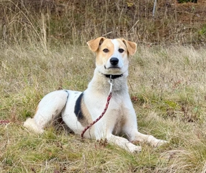 Suzana wartet auf IHRE Menschen Bild 4