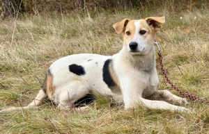Suzana wartet auf IHRE Menschen Bild 2
