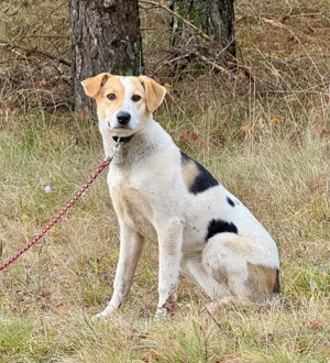 Suzana wartet auf IHRE Menschen Bild 3