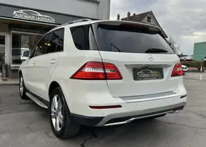 Mercedes-Benz M-Klasse Bild 6