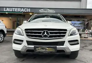 Mercedes-Benz M-Klasse Bild 2