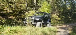 Jeep Wrangler Bild 2