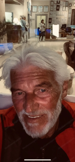 Rosenpavillon aus Metall stabil Bild 2