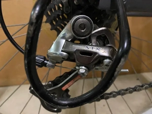 Mountainbike Xenos Bild 2