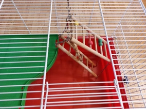 Hamsterkäfig - 64 cm x 38 cm x 43 cm  Bild 2