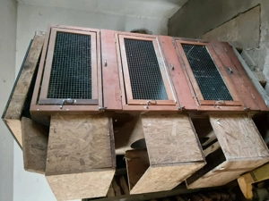 Kaninchenstall Bild 4