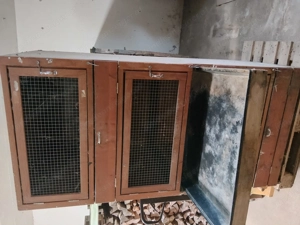 Kaninchenstall Bild 2