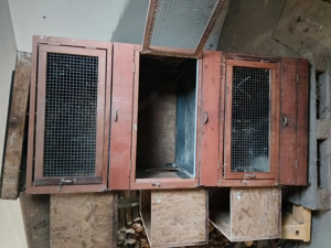 Kaninchenstall Bild 5