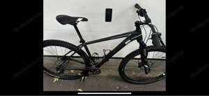 Cube Race One MTB Bild 2