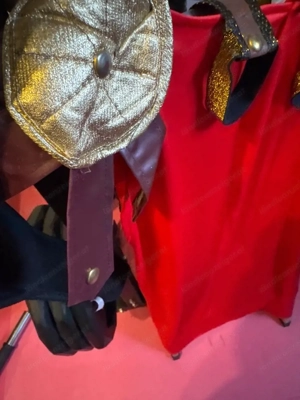 Faschingskostüm Römerumhang Bild 2