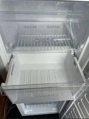 Gefrierschrank ELEKTRA Bregenz Bild 2